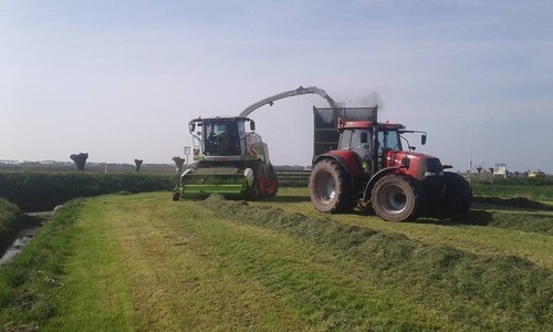 Gras_hakselen_news_detail